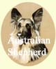 Click for more images of Australian Sheepdogs