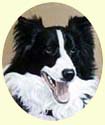 Click for Larger Border Collie painting