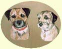 Click for Larger Border Terriers Image