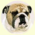Click for larger Bulldog painting