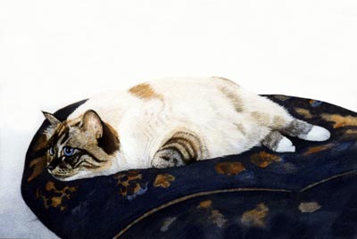 Pet Portraits - Cat Paintings from Your Own Photos - Cat on Cushion painted in Watercolours