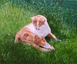 Pet Portraits - Cat Painting - Clao in Oils
