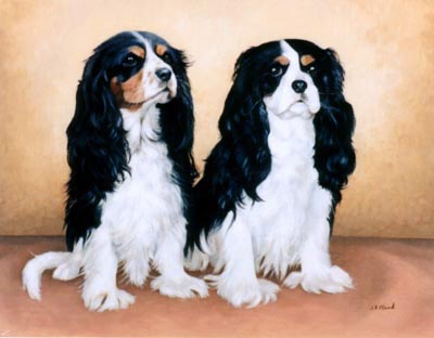 Pet Dog Portraits from Your Own Photos - 2 Tri Cavalier King Charles Spaniels