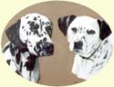 Click for Large Image of Dalmatian painting