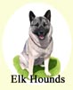 Click for more Images of Elk Hounds