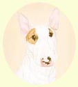 Click for Larger Image of English Bull Terrier