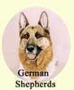 Click for more Images of German Shepherds