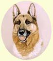 Click for Larger image of German Shepherd painting