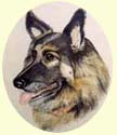 Click for Larger image of German Shepherd painting