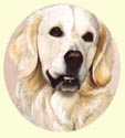 Click for larger image of Golden Retriever painting