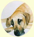 Click for larger image of Great Dane painting