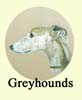 Click for more Images of Greyhounds and Whippets