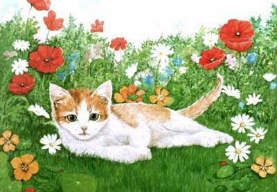 Pet Portraits - Cat Portraits from Your Favourite Photos make Very Special Gifts - Kit lying in Garden