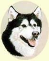 Click for Larger Image of Husky dog painting