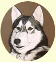 Click for Larger Image of Husky dog painting by Isabel Clark