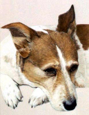 Pet Portraits - Jack Russell Terrier painting