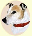 Click for larger Image of Jack Russell Terrier painting