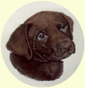 Click for larger image of Labrador Retriever puppy painting