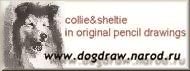 Click for Elena's Collie and Sheltie Drawings