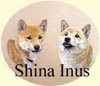 Click for more Images of Shina Inus