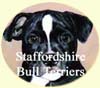 Click for more Images of Staffordshire Bull Terriers