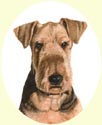 Click for Larger Image of Terrier Painting