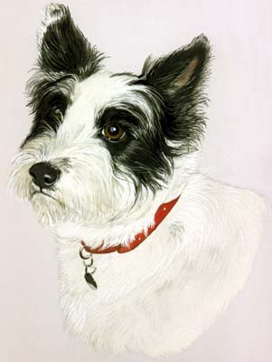 Pet Portraits - Terriers Mix - Rosie  - Watercolours