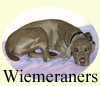 Click for more images of weimeramers