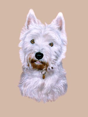 Pet Portraits - West Highland White Terrier Perro - Oils - Westies