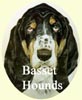 Click for more Basset Hound Images
