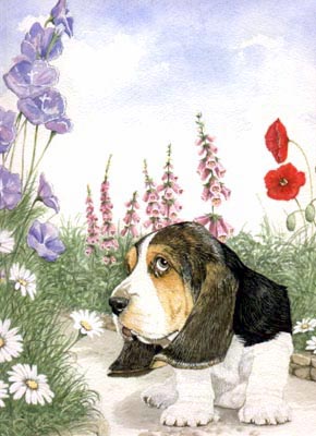 Pet Portraits - Dog & Puppy Paintings from Your Favourite Photos - Basset Hounds