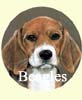 Click for more Beagle Images