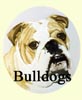 Click for more Bulldog Images