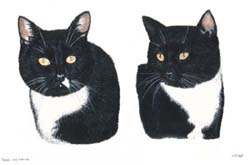 Cat Paintings by Isabel Clark