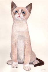 Pet Portraits - Kitten painting in watercolours