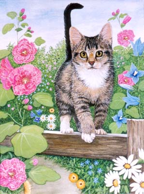 Pet Portraits -   Cat Paintings from YOUR own photos 