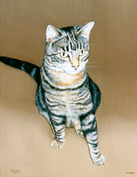Pet Portraits - Cat painting in oils