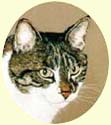Click for larger image of cat painting