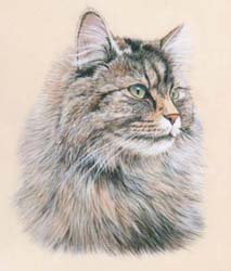 Pet Portraits - Tabby Cat Painting