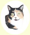 Click for larger image of cat painting by Isabel Clark - UK artist