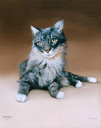 Pet Portraits - Cat Beethoven in Oils