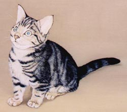 Pet Portraits - Cat oil painting