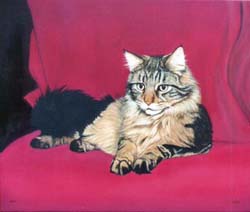 Cat paintings in oils and watercolours by Isabel Clark