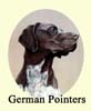 Click for more Images of German Pointers