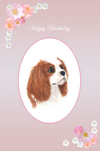 Cavalier King Charles Spaniels Greeting Cards and pet portraits