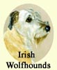 Click for More Images of Irish Wolfhounds dog paintings