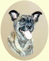 Dog Paintings in Oils or Watercolours, from Your Own Photos