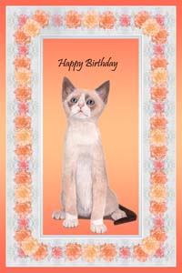 Snowshoe Cats and Kittens Cards and Portraits