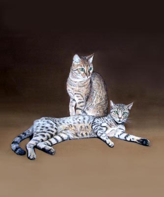 Bengal Cat portrait paintings