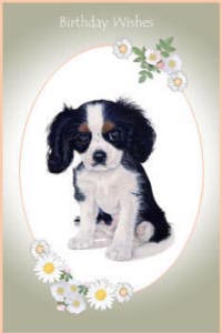 Cavaliers King Charles Spaniels paintings - pet portraits and dogs greeting cards